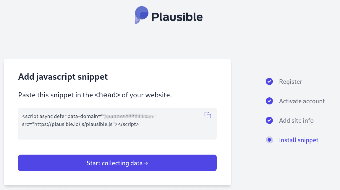 Plausible Analytics script